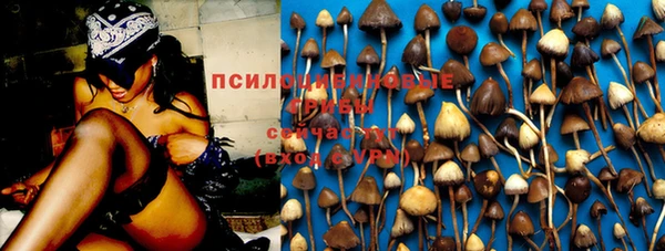 прущий лед Нягань