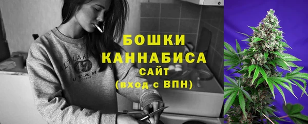 дмт Новозыбков