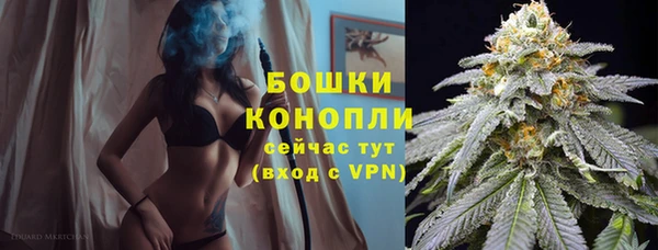 гидропоника Нязепетровск