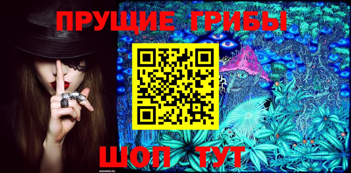 Зеленодольск  Псилоцибиновые грибы мухоморы  Вход с VPN 